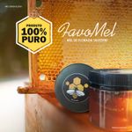 002_favo_mel