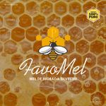 003_favo_mel