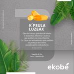 Kpsula-Luzeax-003