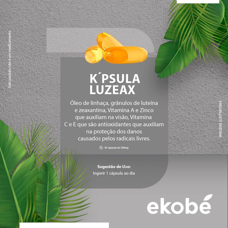 Kpsula-Luzeax-003