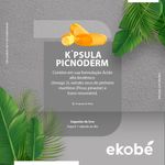 kpsula-picnoderm-3