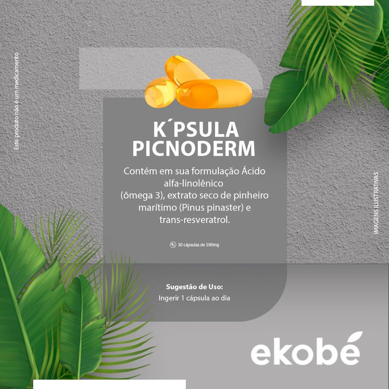 kpsula-picnoderm-3