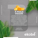 viggor-maxx-003