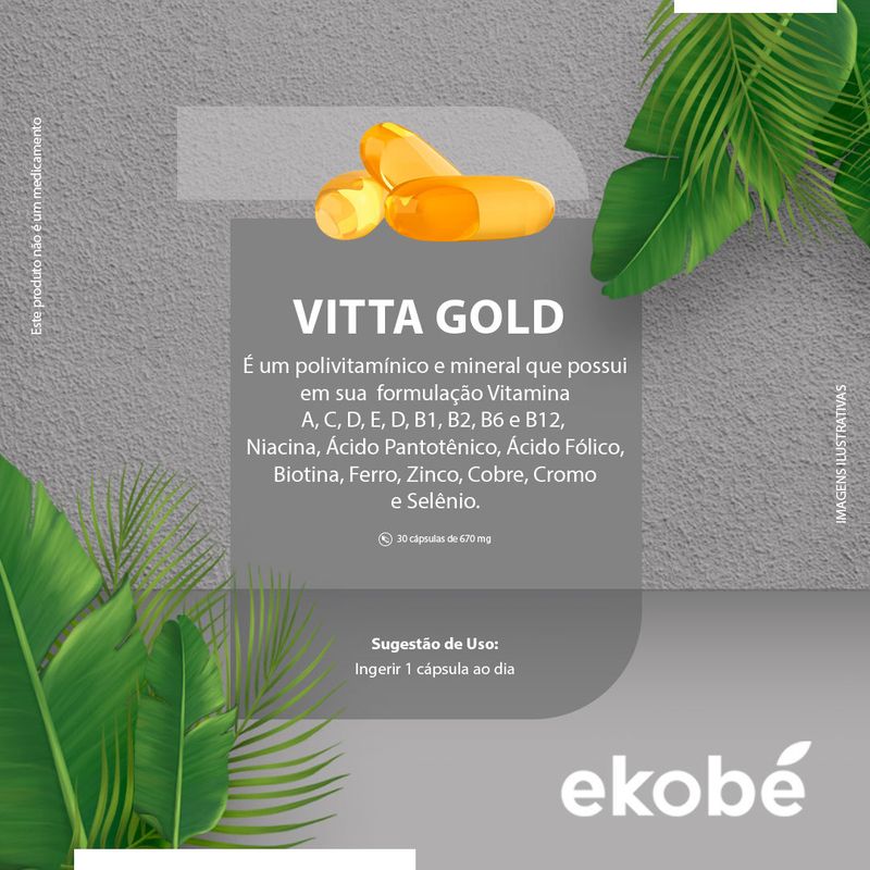 vitta-gold-003