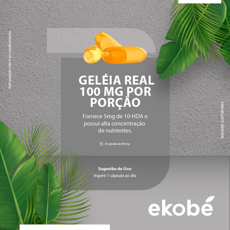 geleia-real-003