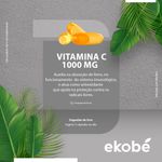 Vitamina-C-003