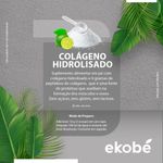 Colageno-Hidrolisado--003